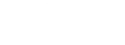 Salesforce Partner