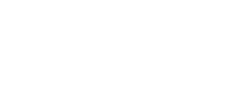 Shopify Partner